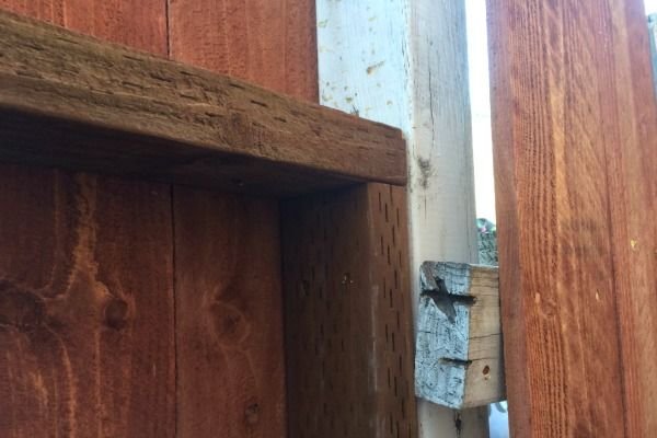 Repairing the Old Fence for the New Dog, Justin DiPego