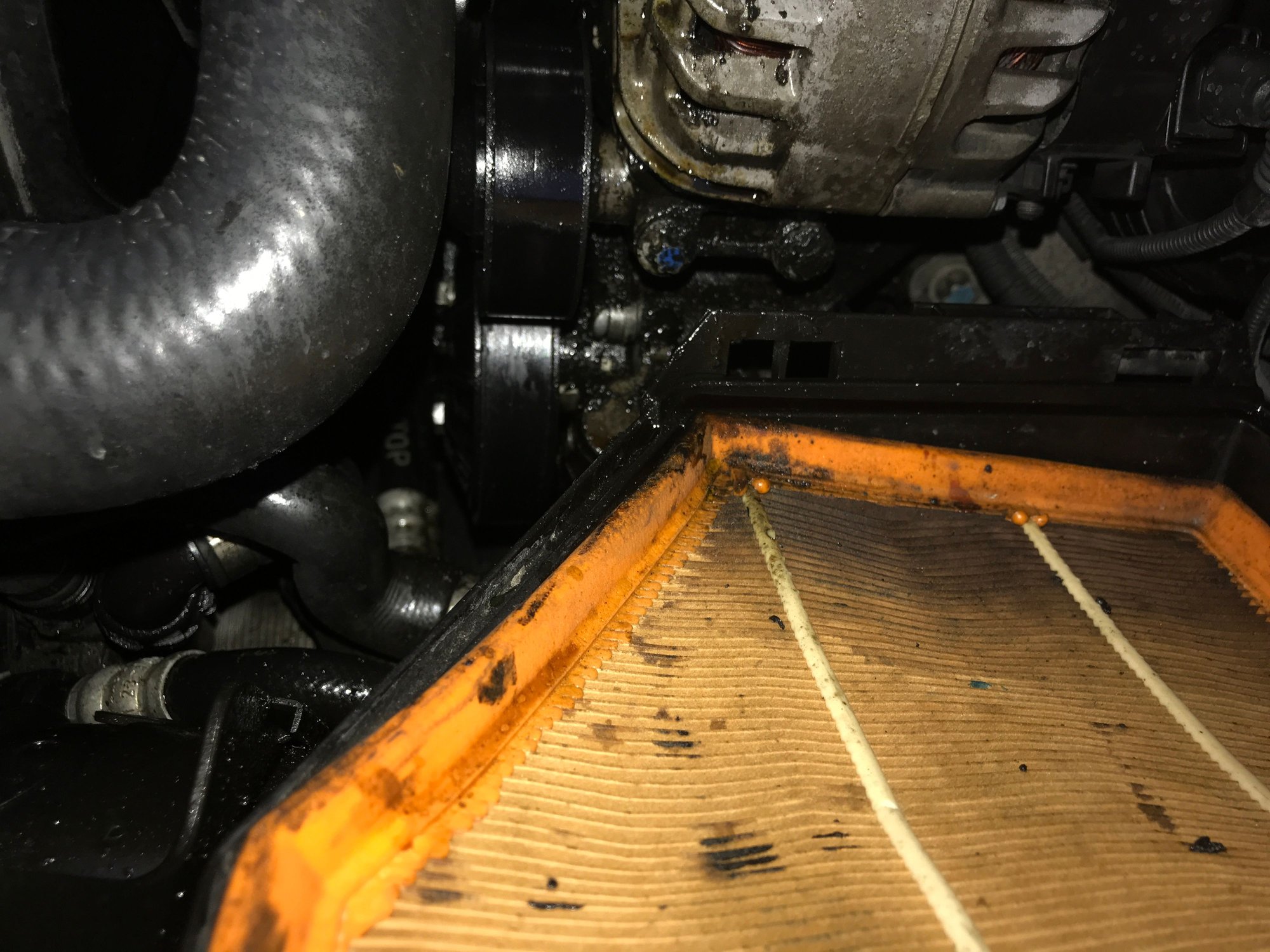 Major oil leak Forums