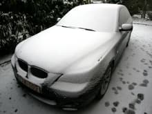 BMW008.jpg