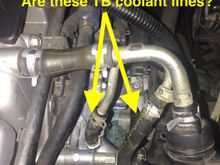 Are these the TB coolant lines or something else?