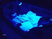 Trunk LED's. Mad bright, pics don't do justice. Its almost like a black light.