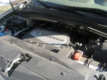 1   Dirty Engine Bay   Never Washed before (800x449)