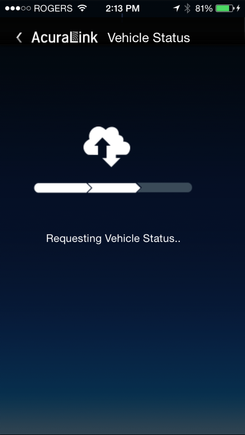 Once I request "Get Vehicle Status", I get this screen.