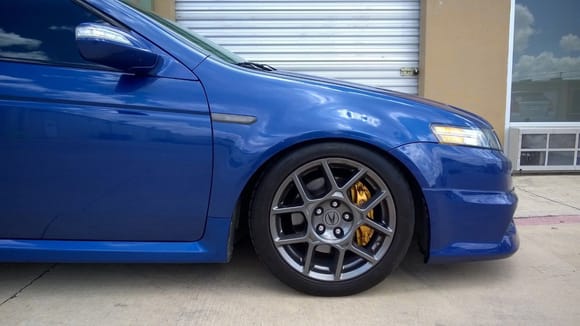 Gold Calipers! Need to rears this weekend..