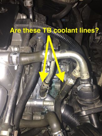 Are these the TB coolant lines or something else?