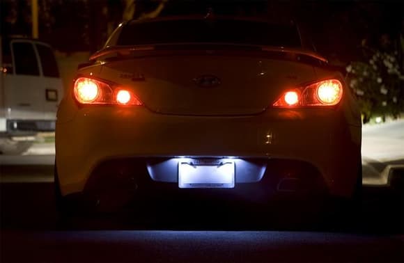 Rear at night