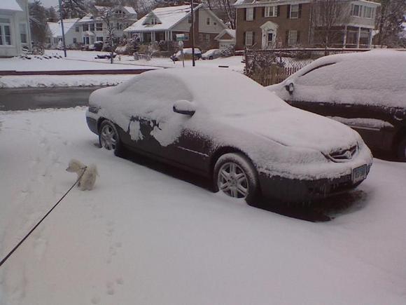 That was a lot of snow last winter.  Good thing I have a garage now!