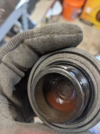 Oil cap after wiping it out once. PCV issue?