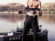 The &quot;Big&quot; fish. Caught at Lake Castaic, CA. Somewhere betweem 13-15 lbs.                                                                                                                      