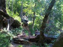 Brother at home trails. This massive tree came down right in the middle of the trail. (Note: Chainsaw on front of 4 wheeler!!)