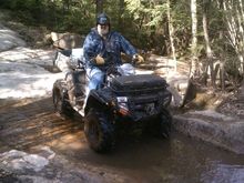 Moose in the river