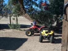 my new 86 lt230 and my daughters kasea skyhawk 90 , thats her first bike, she got it for x-mas and my son got a 50 and i got my self the 230