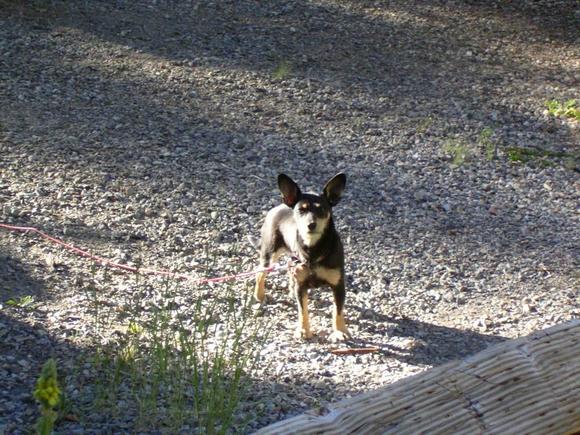 Nina loves to go camping
