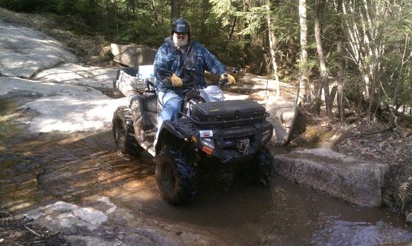 Moose in the river