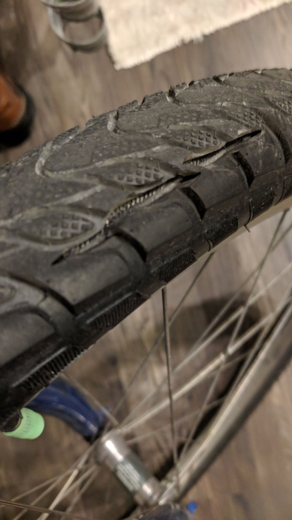 Tire damage sign of quality? Bike Forums