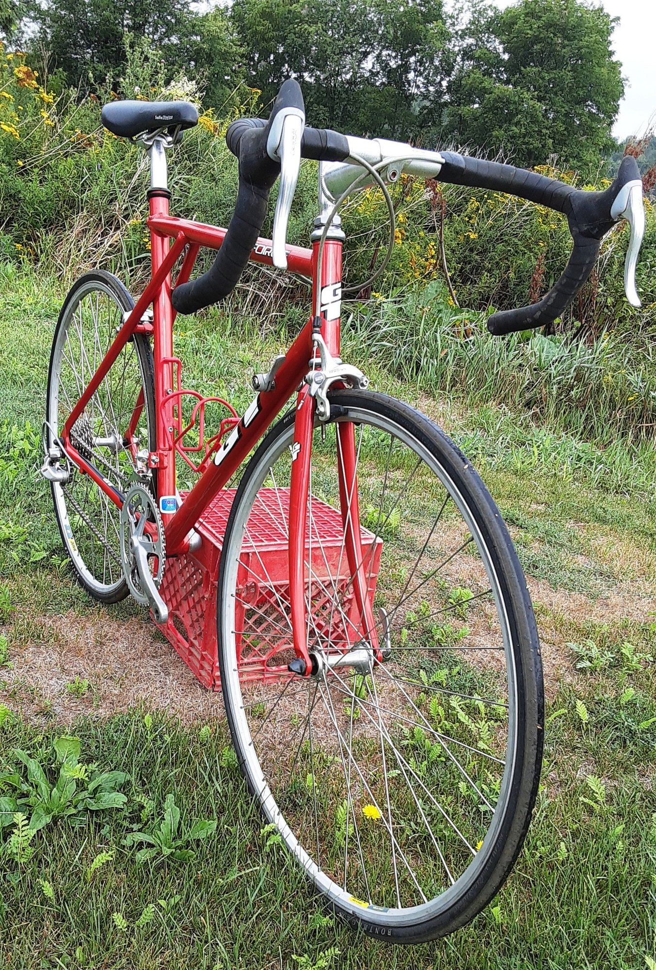 Bike Forums 1993 ('94?) GT Force road bike