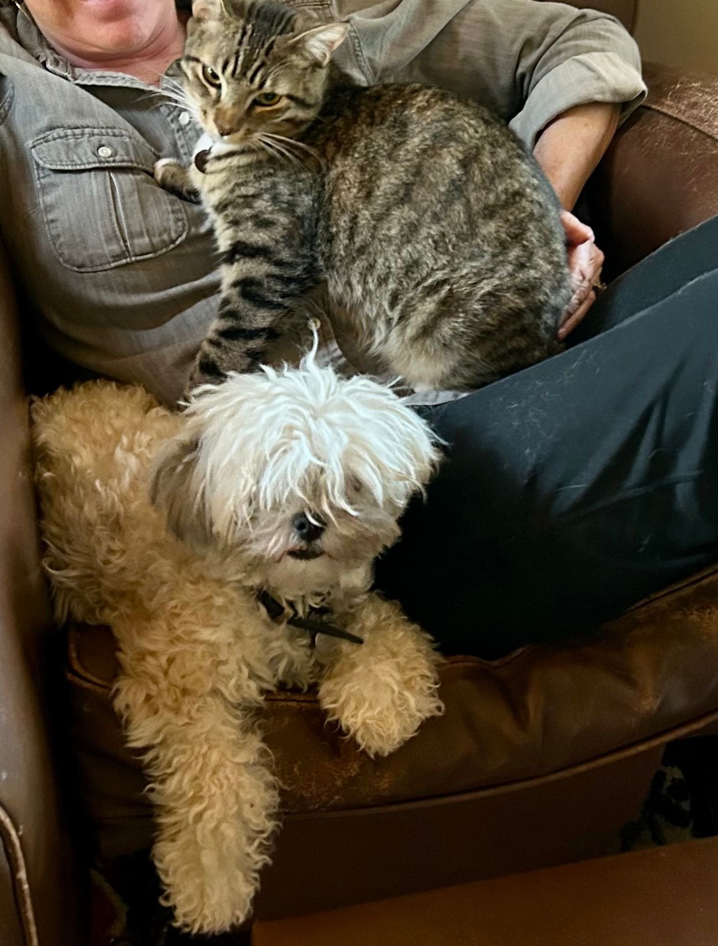 And Cat