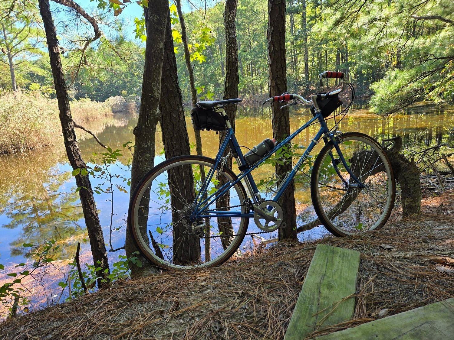 Fresh water pond in Holt's Landing State Park, Madison Revel mixte.