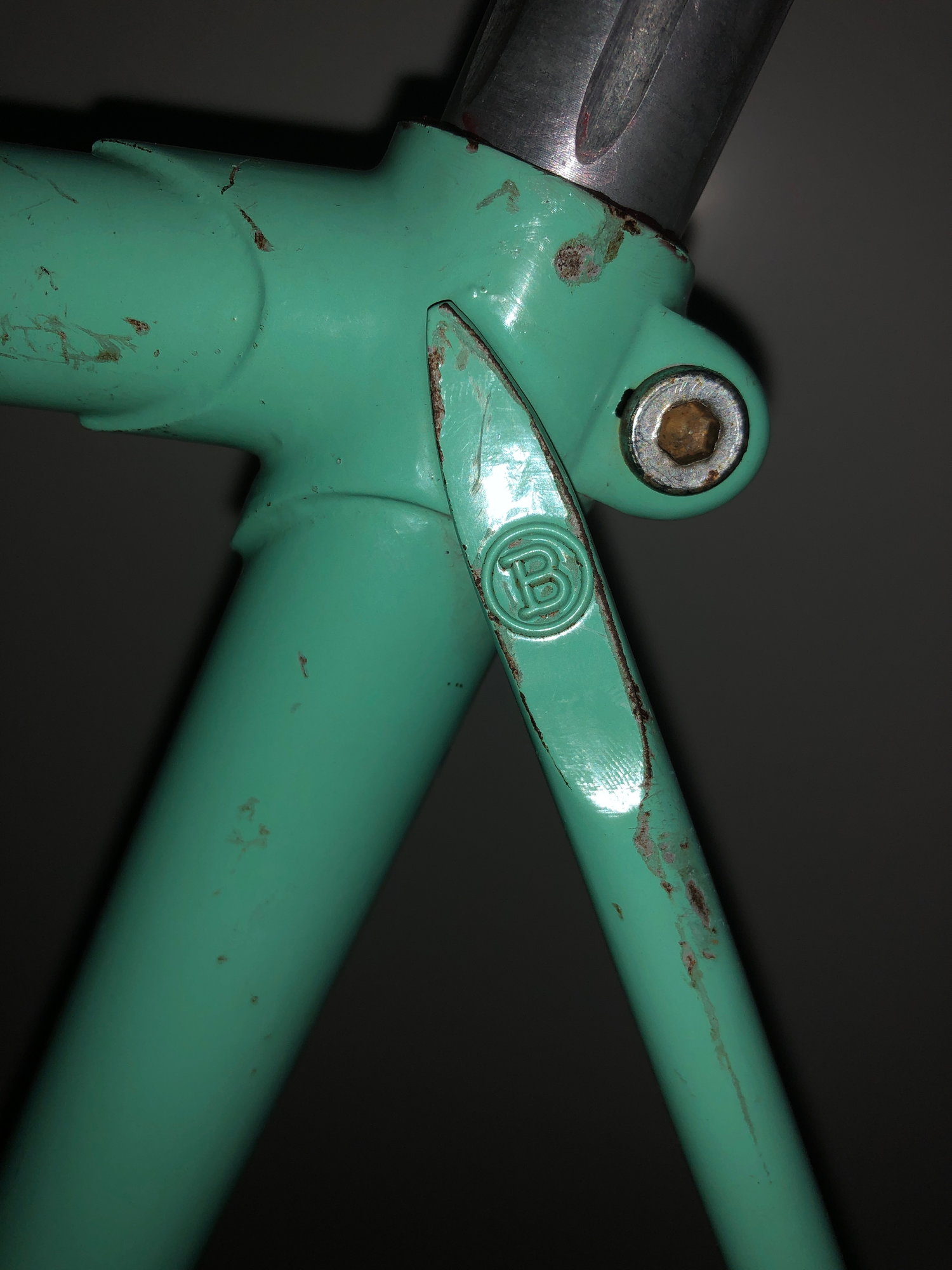 Bianchi Serial Number Identification - Page 45 - Bike Forums