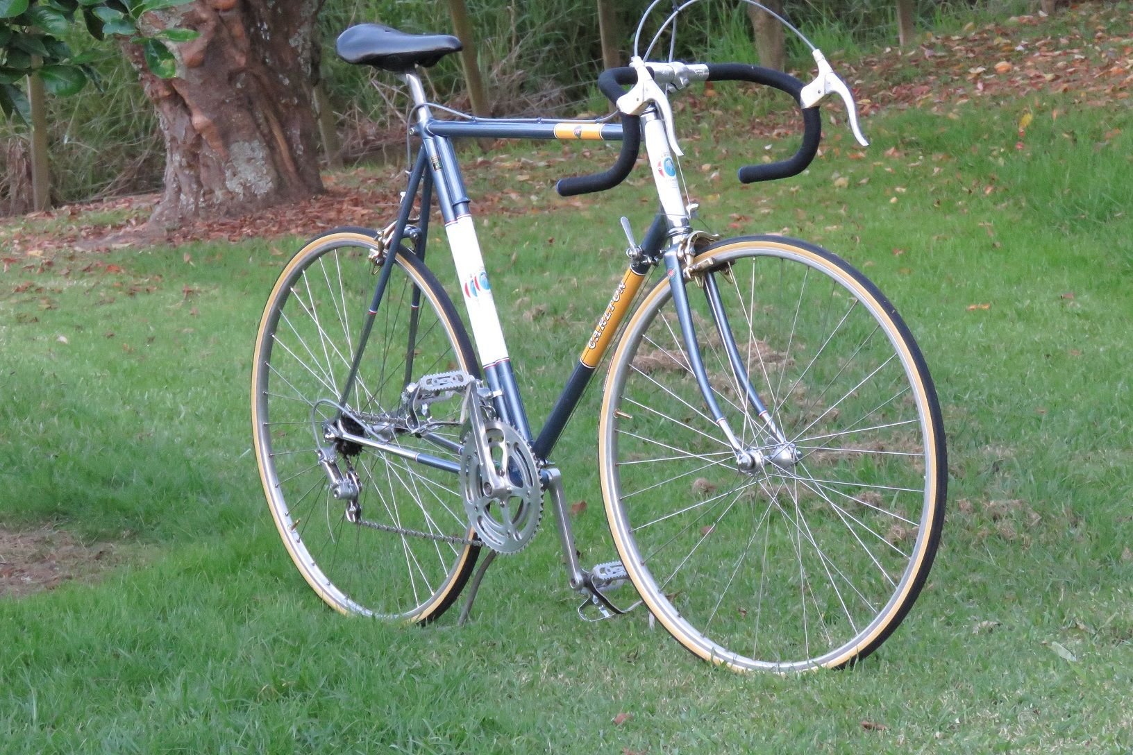 Show your Carlton Page 3 Bike Forums