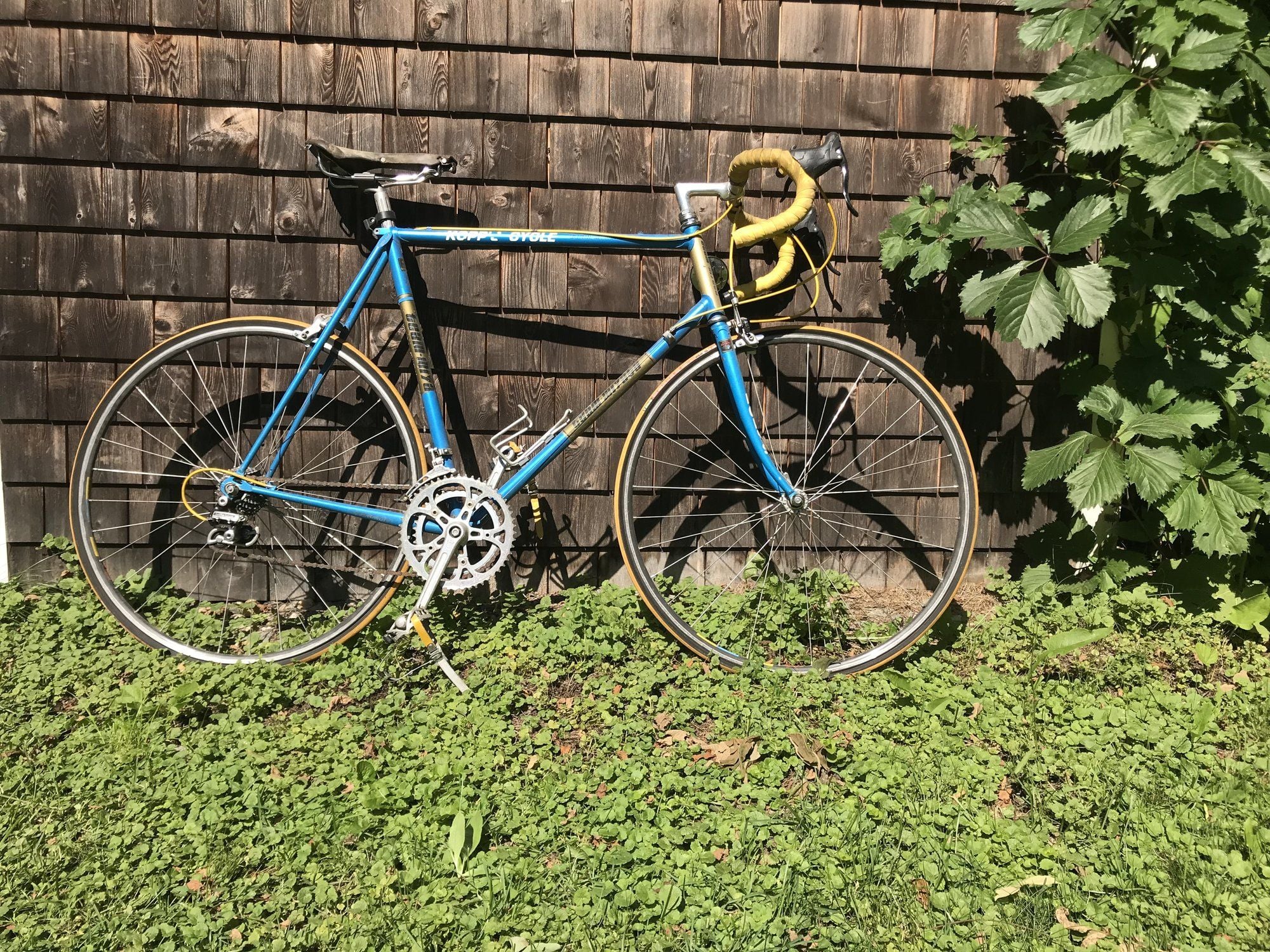 japanese bike frame