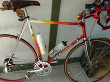 This bike not only looks great it feels great.  It fits like a glove and has a nice smooth ride but is very responsive to pedal and steering inputs.  If I didn't know better I'd say someone repainted a Bianchi  