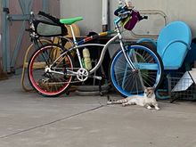 It's my bike now. Maybe I'll let you ride it someday.