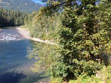 The River - however I noticed some leaves going yellow.