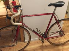 Gabi’s Spirit of 78 Bike