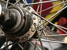 Chewed up spokes by a hungry chain 