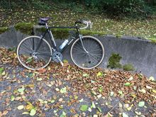 Yes - Fall has arrived in western WA USA. Wool & knicker weather.