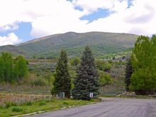 Hillsides are greening up.