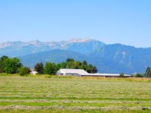Hay making continues