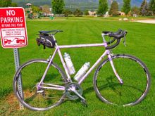 Today's choice of bikes.