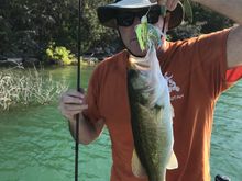 Here I caught t