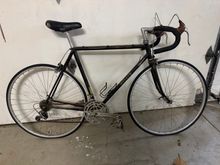 21 1/2” CTT with 55cm TT
