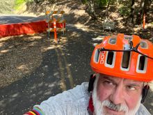 Open road ahead through Tilden Park.