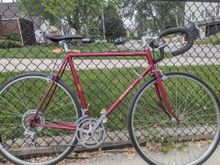 Miyata 310