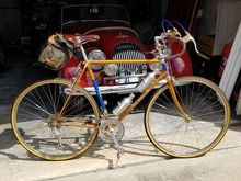 mercian vincitore