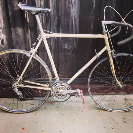 Current restoration project. 1974(ish) Allegro Schweitzermeister Model 76.