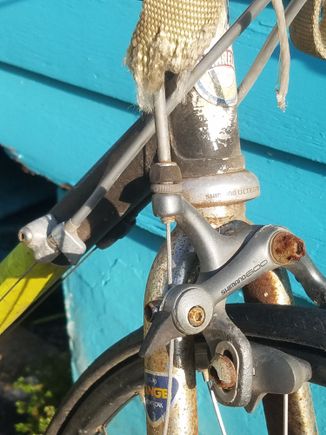 I assume the Tange fork is a replacement. No evident collision damage to the top or down tubes though.