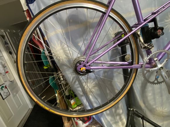 Shipmano Nexus 8spd IGH with Salsa Delgado rims.