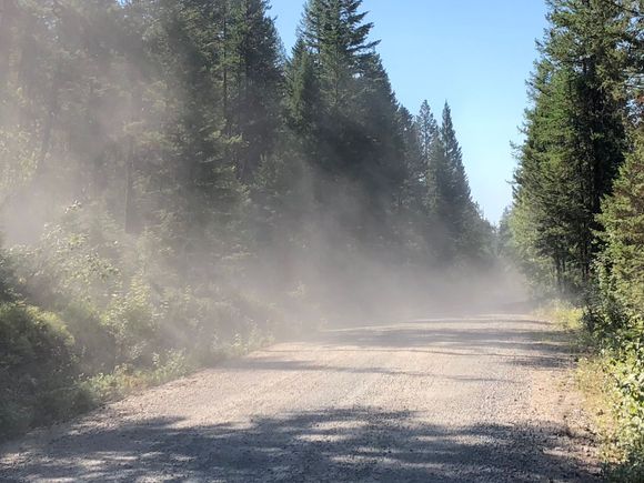 Dust from cars!