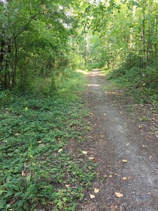 A narrow trail and some gravel to call it a mixed surface ride.