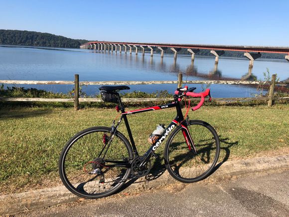 Stopped before crossing to meet my wife