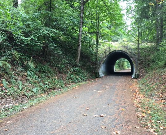 However, it’s a commute back onto the Lake Wilderness trail