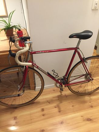 Gabi’s Spirit of 78 Bike