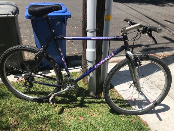 1994 Univega Clunker 2019