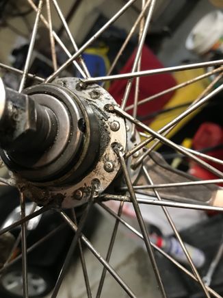 Chewed up spokes by a hungry chain 