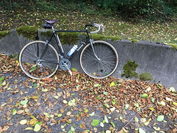 Yes - Fall has arrived in western WA USA. Wool & knicker weather.